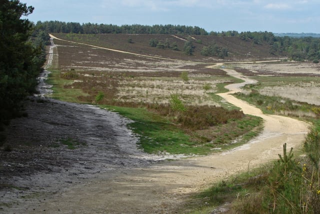 Teenager guilty of stealing a bike and carrying a knife at Hankley
