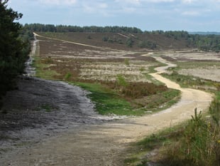Teenager guilty of stealing a bike and carrying a knife at Hankley
