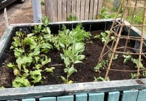 Rail station garden is pure gold!