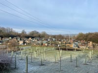 Sheet allotments hit by thieves