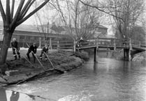 Peeps: Water board clears the River Wey through Gostrey Meadow in 1953