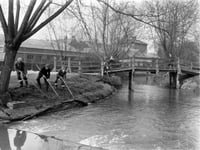 Peeps: Water board clears the River Wey through Gostrey Meadow in 1953