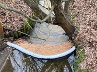 Diesel leak into stream at Aldi in Petersfield 