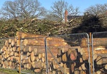 Trees felled to make way for 350 houses in Bordon