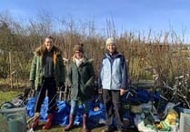 Petersfield Climate Action Network’s fruit tree scheme is blossoming