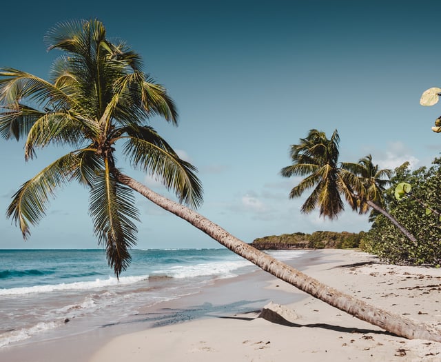 Peeps into the Past: Castaway Christmas for a local adventurer