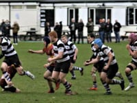Rugby: Dartfordians 20 Farnham 22