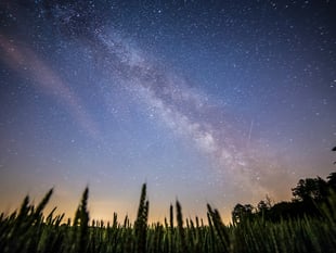 Heath Watch: Look up – there's so much to see in the South Downs