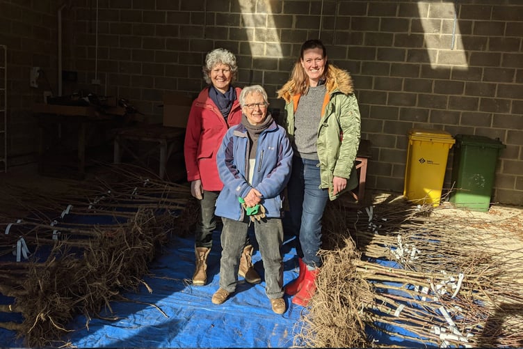 Alton Climate Action Network fruit tree collection point, February 11th 2023.