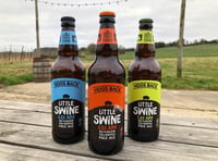 
Hogs Back Brewery launches ginger-flavoured beer Little Ginger Swine