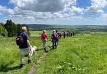 Walk Alton: walking festival preparations