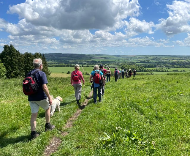 Ramble through Austen country at this year's Alton Walking Festival