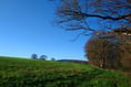MP warns UK planning reforms threaten East Hampshire's rural charm