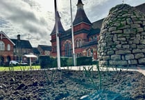 New roses bring peace to Alton war memorial