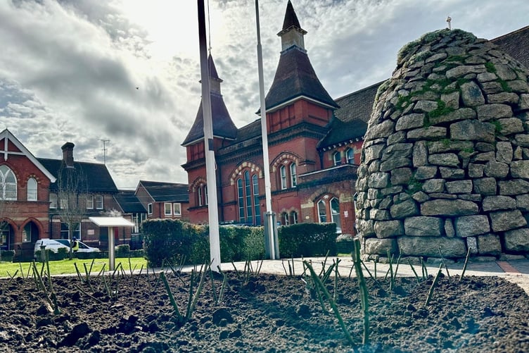 Alton war memorial roses.
