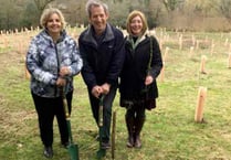 New copse is created in corner of Petersfield Cemetery