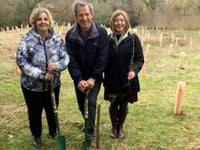 New copse is created in corner of Petersfield Cemetery