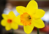 Celebrate the onset of spring at the Surrey Hills Spring Fair in Tilford this weekend