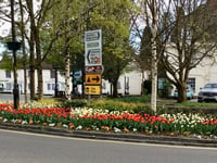 Hands off our flowers: Liphook villagers object to roundabout plans