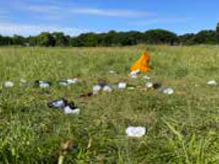 Frustration of litter pickers as rubbish blights Petersfield