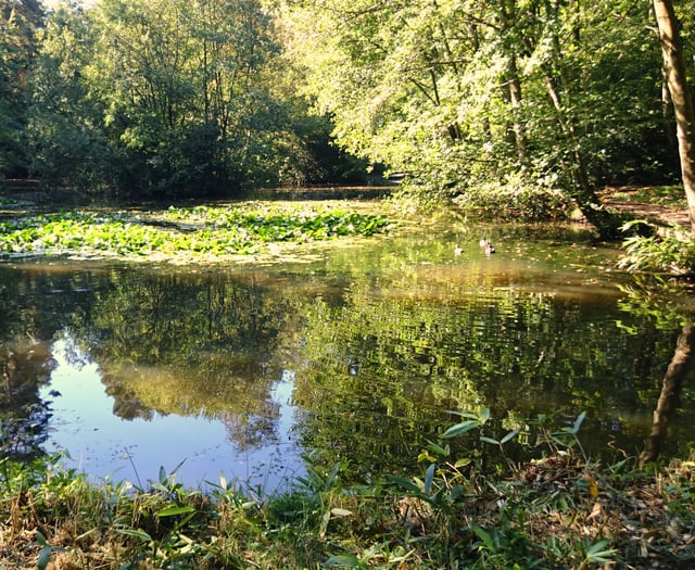 Renationalise water companies to put 'environment before profits'