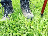 Put your best foot forward at Farnham Walking Festival this May