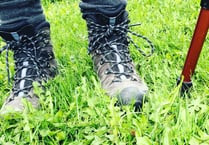 Put your best foot forward at Farnham Walking Festival this May