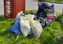 Litter pickers clear up in Langrish and Ramsdean