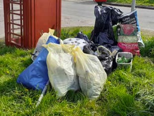 Litter pickers clear up in Langrish and Ramsdean