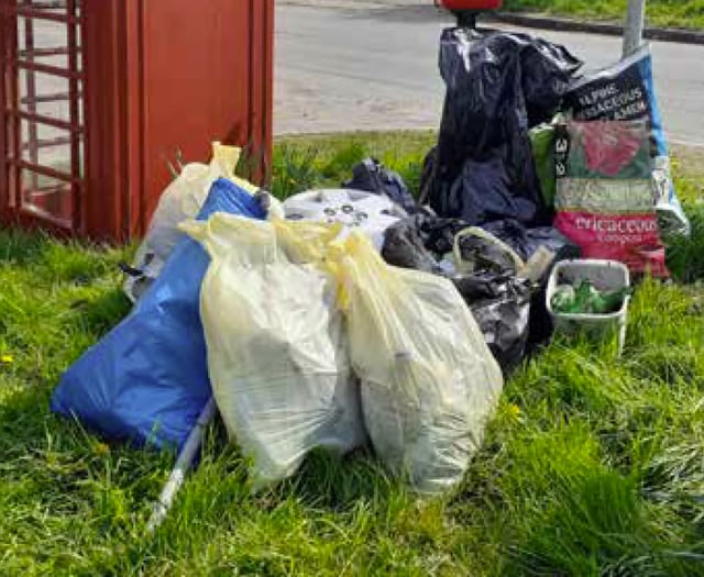 Litter pickers clear up in Langrish and Ramsdean