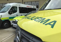 Police investigating crash involving ambulance near Jalsa Salana site