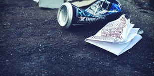 Letter: Roadside litter and rubbish is a national disgrace