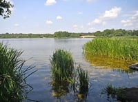 'Extremely dangerous' algae could close Frensham Pond until November