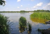 'Extremely dangerous' algae could close Frensham Pond until November