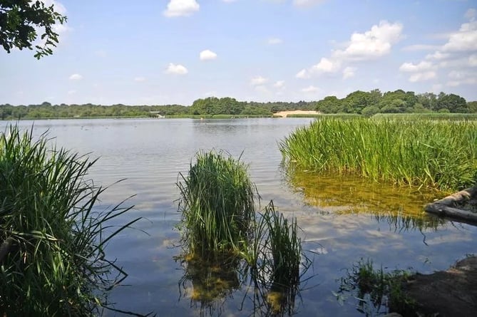 Water samples are taken weekly during the bathing season by the Environment Agency, and the first samples of the year have seen Frensham Great Pond retain its ‘excellent’ classification