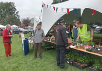 Seedling swap raises money for Alton Local Food Initiative