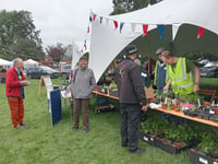 Seedling swap raises money for Alton Local Food Initiative