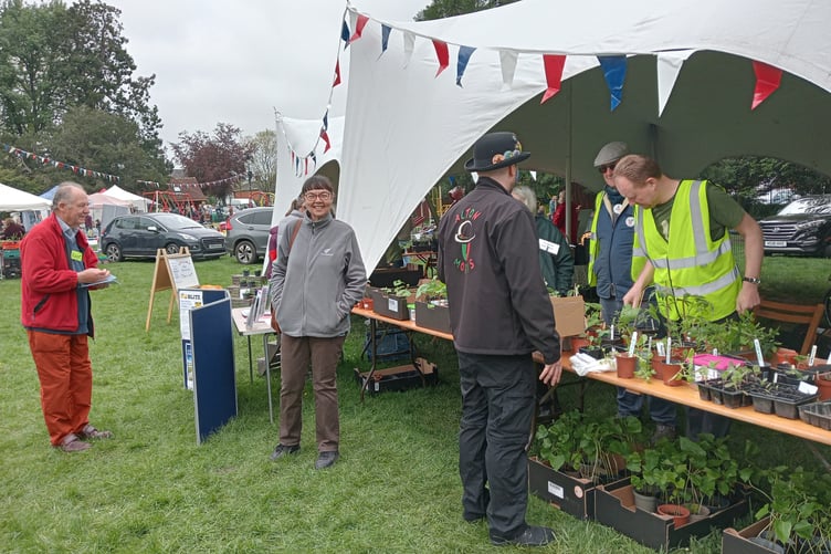 Alton Local Food Initiative stall, Spring Garden Fayre, Public Gardens, Alton, May 13th 2023.