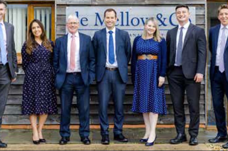 The advisory team at de Mellow & Co, based in Clanfield and Petersfield, May 2023.
