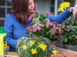 Hidden Gardens of Grayshott to open gates this Bank Holiday weekend