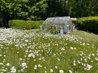 Headley Open Gardens to return this weekend – treasure hunt included!