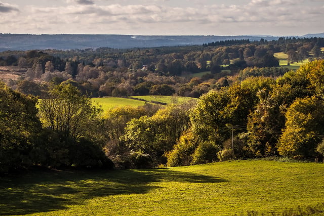 Run (or walk) at the Hampton Estate this weekend for Phyllis Tuckwell