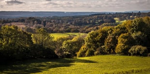 Run (or walk) at the Hampton Estate this weekend for Phyllis Tuckwell