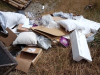 Director fined after employees fly-tipped in West Worldham