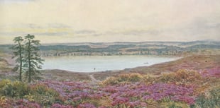 Old postcards of Frensham Ponds show how things have changed – or not!