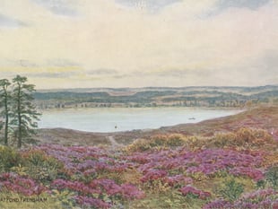 Old postcards of Frensham Ponds show how things have changed – or not!