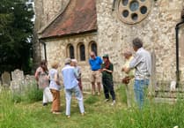 Busy bees: Hampshire county and environmental group meet to help pollinators