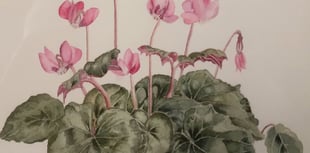 Alresford Art Society's work on show for three days