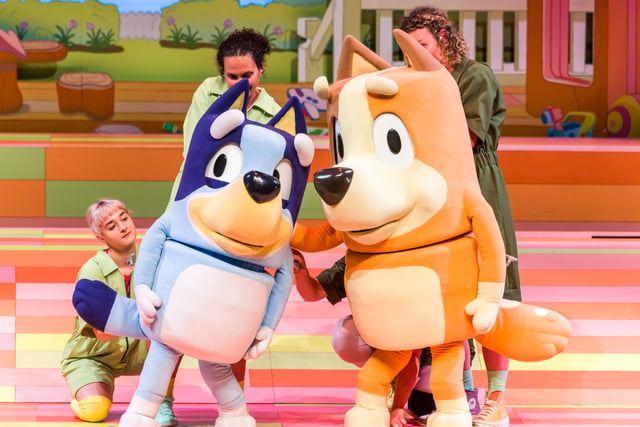Top Australian children's TV show Bluey coming to Mayflower Theatre 