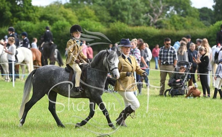 Fawley Horse and Dog Show